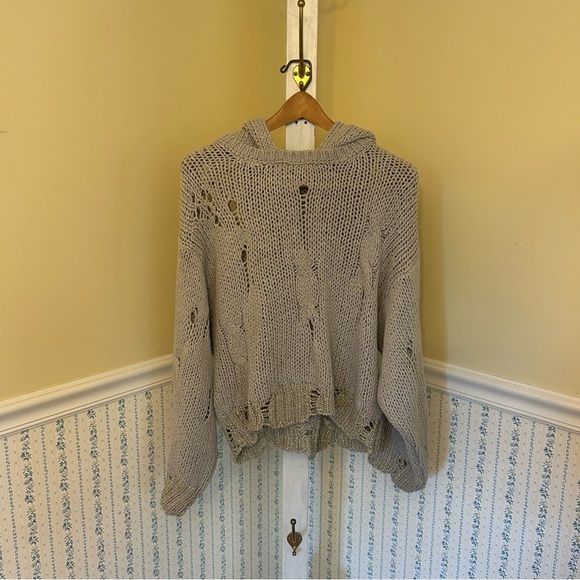 Moth Holes The Holes In My Sweater Moth Hooded Sweater